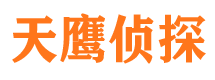 黎川私家侦探公司